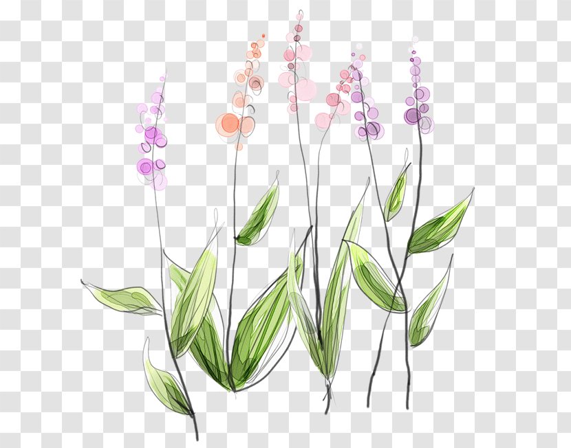 Desktop Wallpaper Image Flower Drawing - Cartoon - Spring Heart Transparent PNG