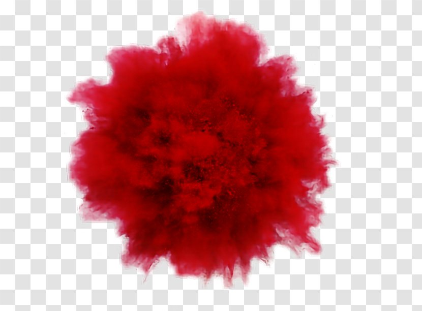 Rouge Explosion Powder Photography Photographer - Nick Knight - Color Splash Transparent PNG