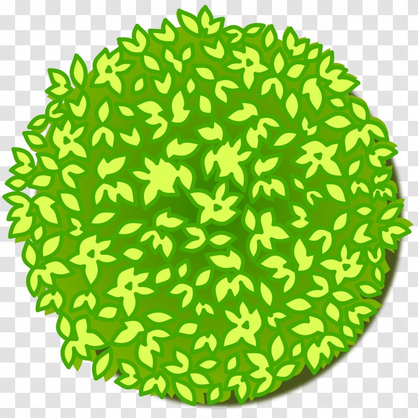 Tree Bonsai Clip Art - Organism Transparent PNG