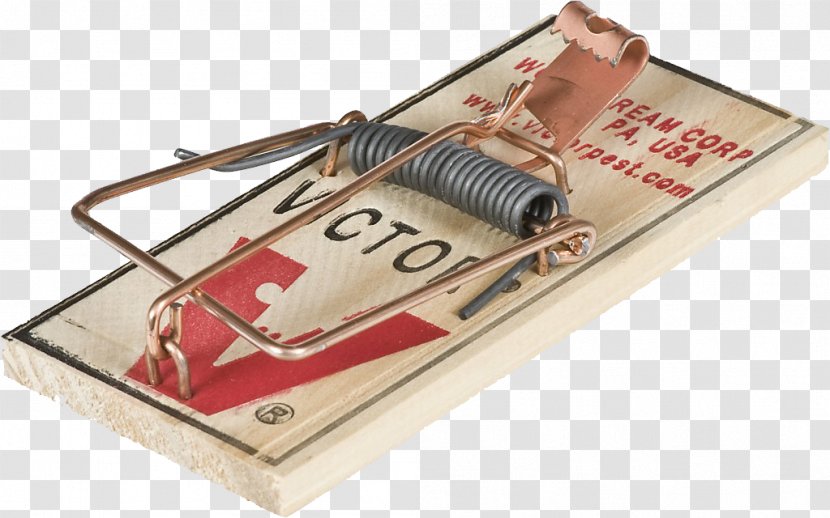 Mousetrap Rodent Trapping Rat Trap - Insect - Mouse Transparent PNG