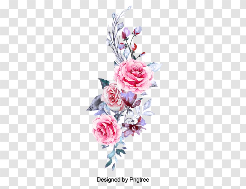 Garden Roses Watercolor Painting Clip Art - Rose Family Transparent PNG