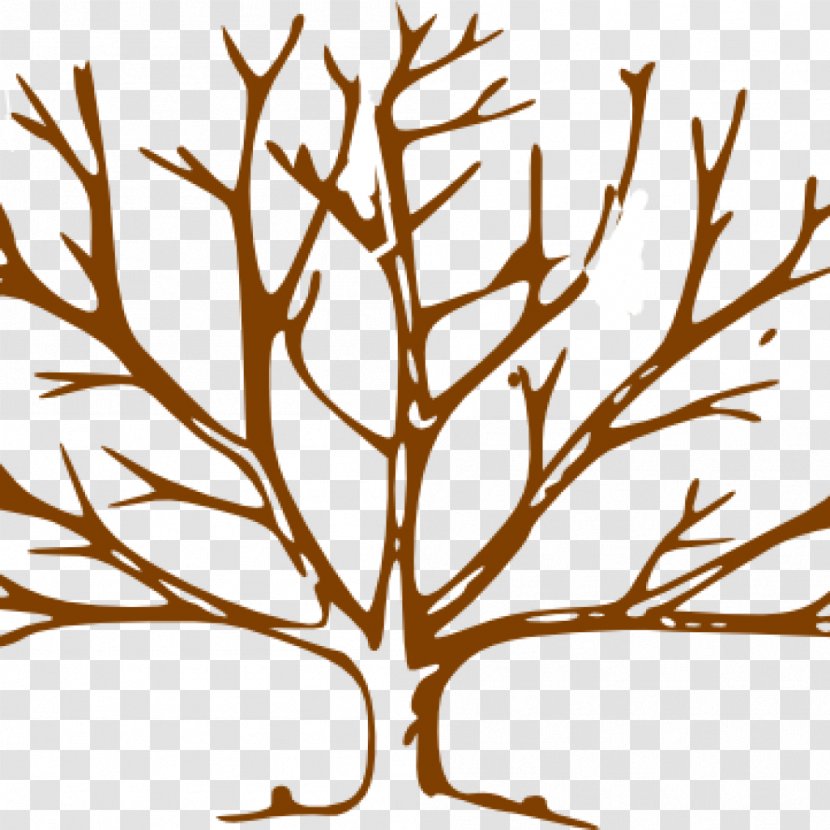 Clip Art Openclipart Tree Vector Graphics Free Content - Branch Transparent PNG