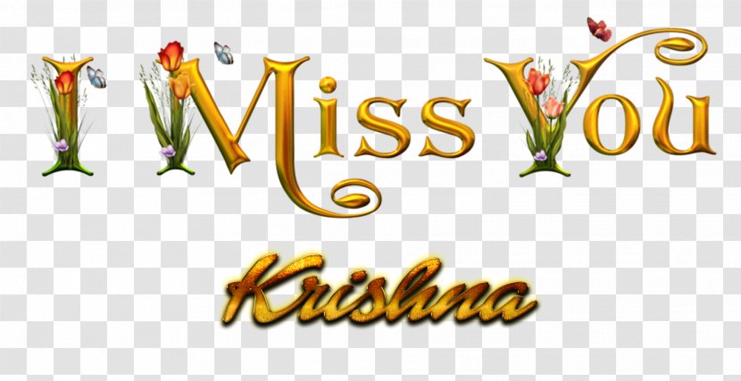 Image Desktop Wallpaper Photograph Name - Happiness - Krishna Transparent PNG