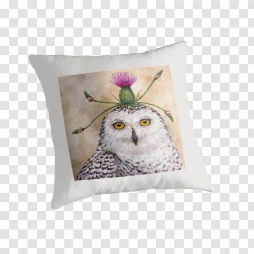 Owl Throw Pillows Cushion - Bird Transparent PNG