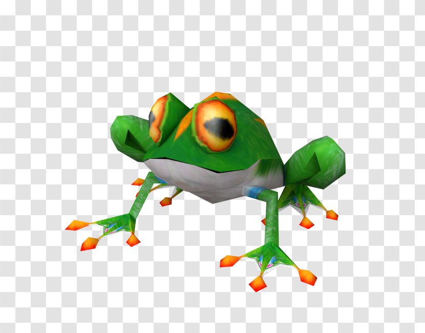 Tree Frog True Toad - Amphibian Transparent PNG