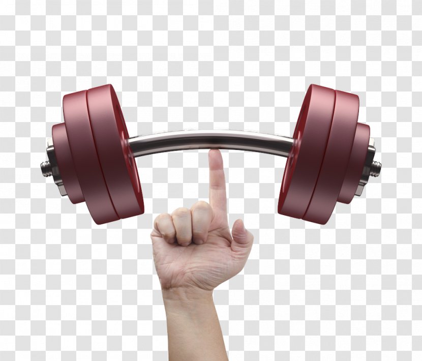 Barbell Weight Training Exercise Equipment Fitness Centre - One Hand Supporting Material Picture Transparent PNG