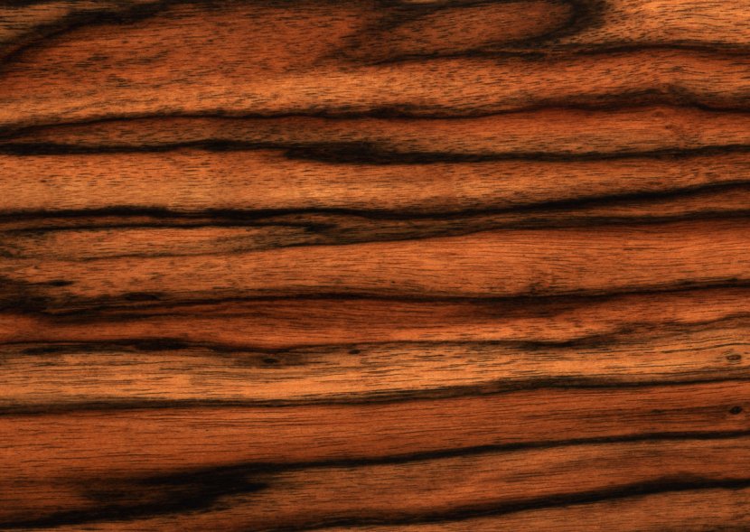 Wood Texture Mapping Download Tree - World Wide Web Transparent PNG