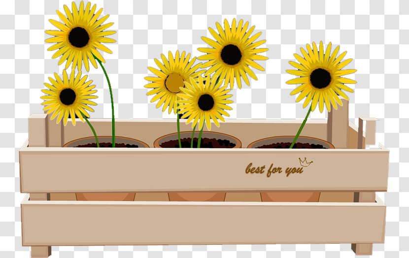 Common Sunflower Download - Yellow Transparent PNG