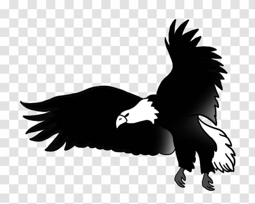 Bald Eagle Circuit Diagram Drawing - Black And White Transparent PNG