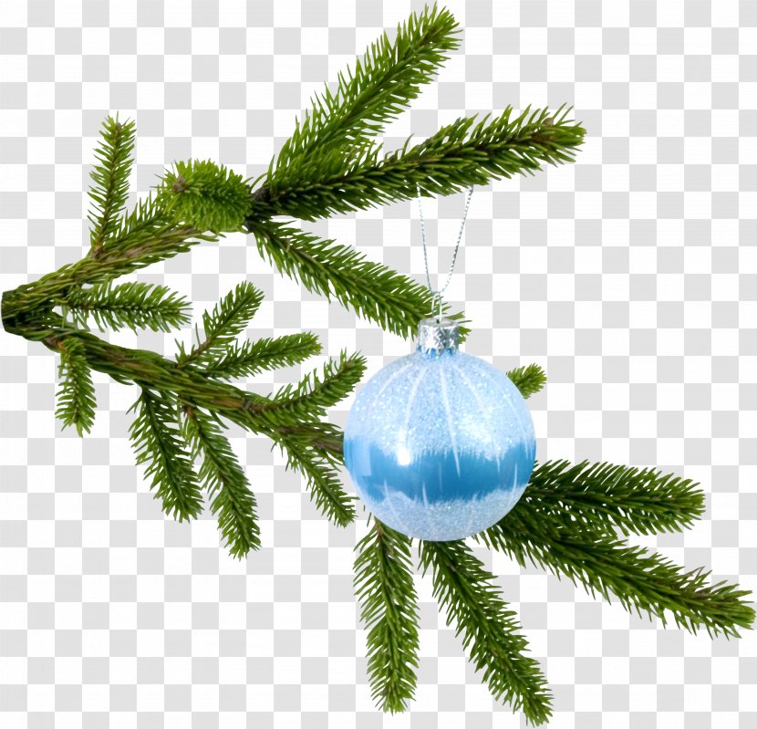New Year Tree Spruce Christmas Branch Clip Art - Fir Transparent PNG