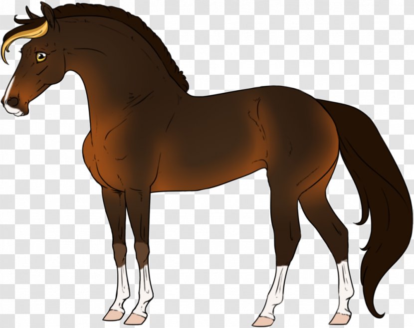 Mane Pony Stallion Foal Rein - Pack Animal - Mustang Transparent PNG