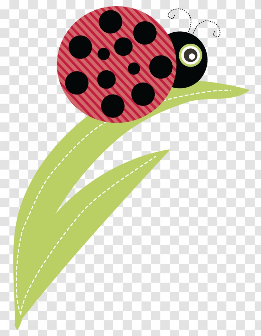 Ladybird Beetle Clip Art Image Logo - Organism - Organizing Movies Transparent PNG