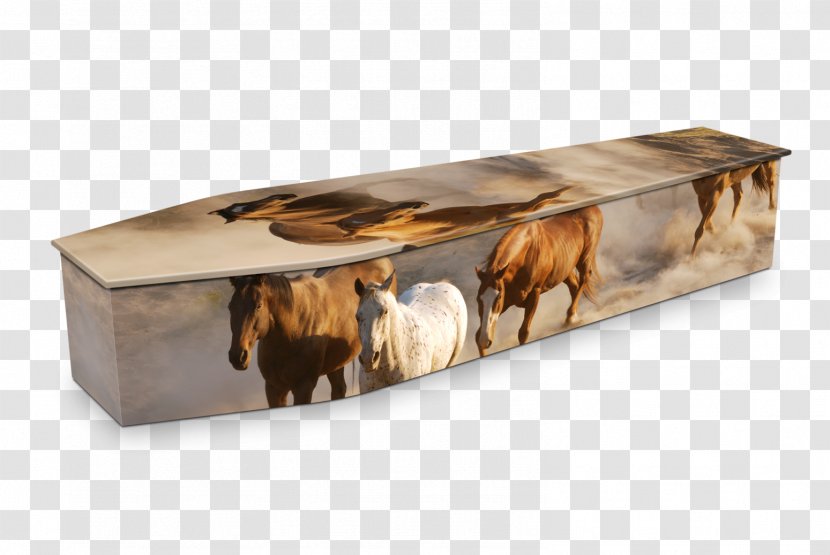 Expression Coffins Natural Burial Swanborough Funerals Michael Crawford - Batesville Casket Company - Coffin Transparent PNG