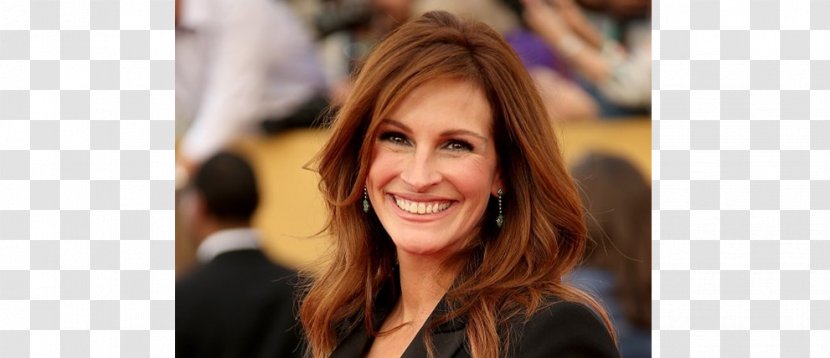 Julia Roberts 62nd Academy Awards Actor Hollywood Film - Tree - Rui Patricio Transparent PNG