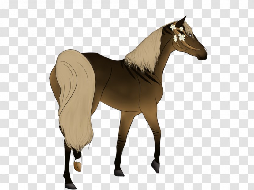 Mustang Stallion Foal Colt Mare - Saddle Transparent PNG