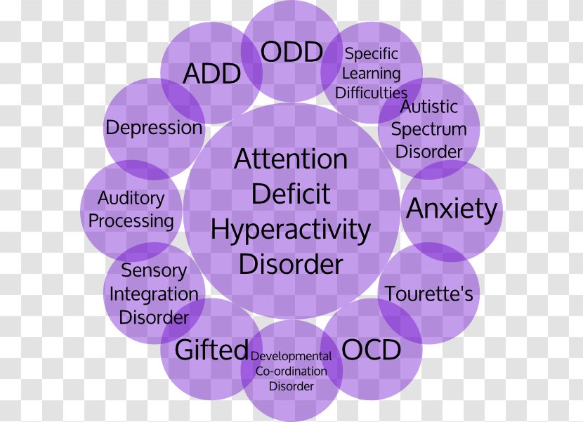 Adult Attention Deficit Hyperactivity Disorder Specific Developmental Transparent PNG