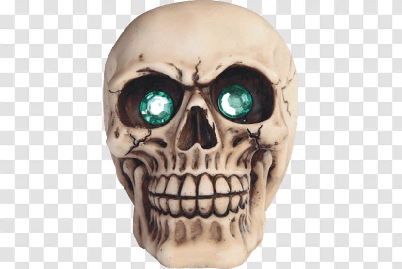 Human Skull Facial Skeleton And Crossbones Jaw - Crystal - Bearded Transparent PNG