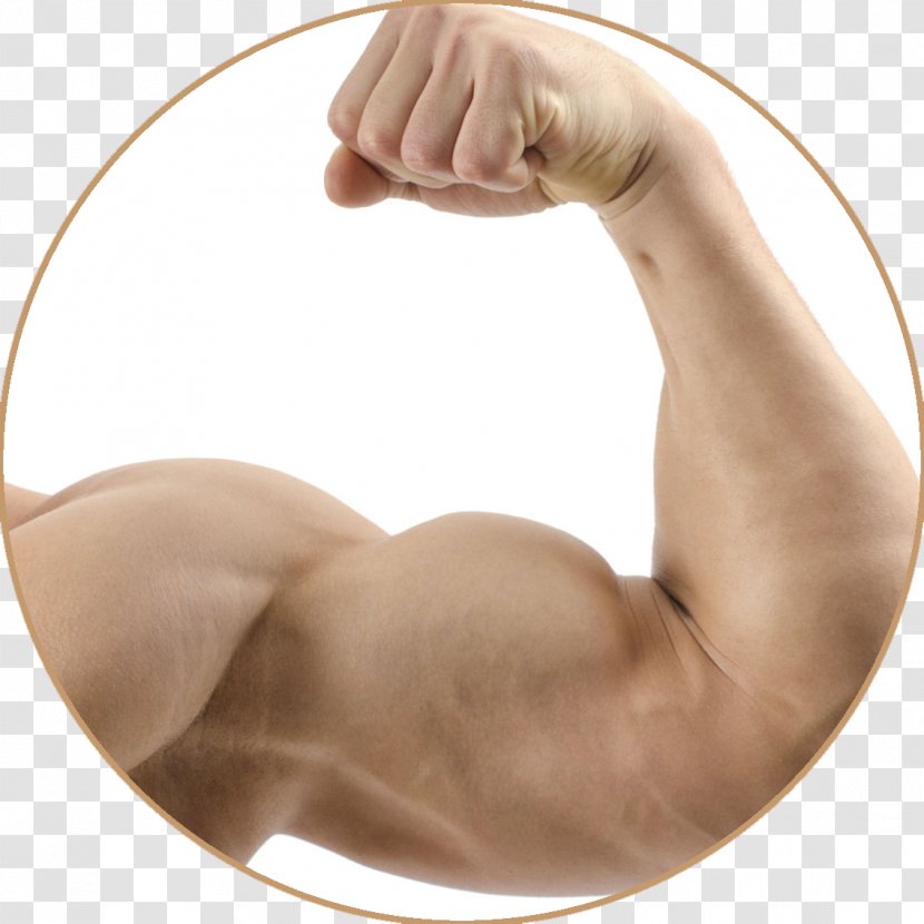 Denny's Tumblr Pumpkin Pie Muscle - Frame Transparent PNG