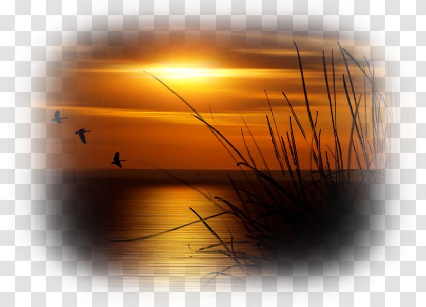 Sun - Sunrise - Dawn Sea Transparent PNG