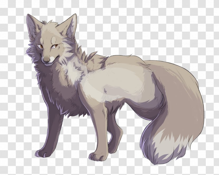 Whiskers Red Fox Cat Fur Drawing Transparent PNG