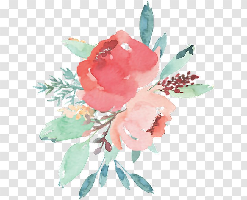 Bouquet Of Flowers Drawing - Petal - Prickly Rose Transparent PNG