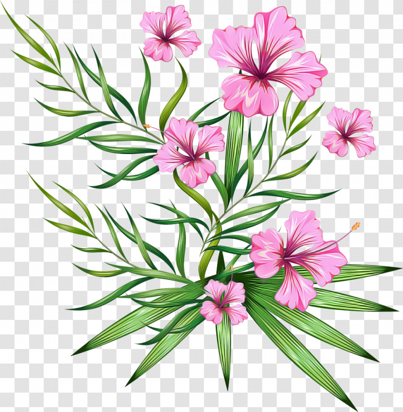 Floral Design Transparent PNG