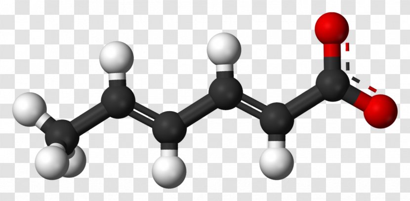 Fumaric Acid Chemistry Malic Carboxylic - Cartoon - Frame Transparent PNG