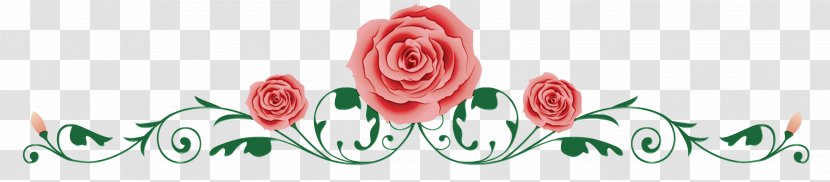 Garden Roses - Plant - Petal Rose Family Transparent PNG