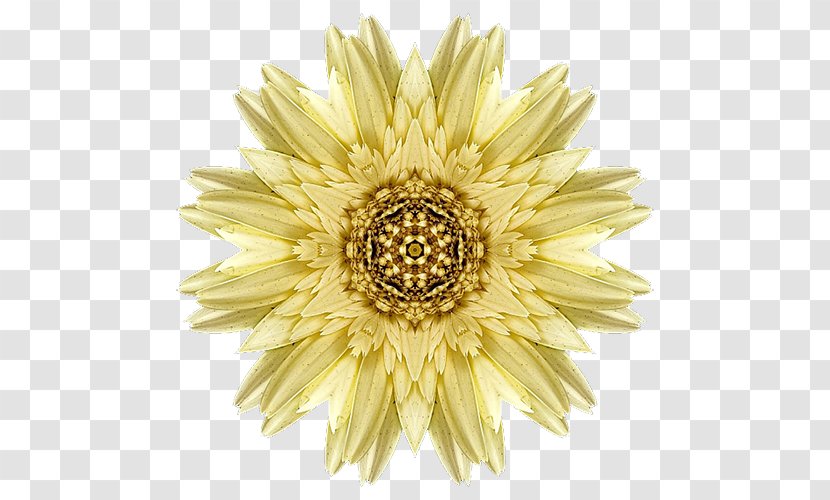 Mandala Drawing Meditation Flower Mehndi - Sacred Geometry - Romantic Chrysanthemum Transparent PNG