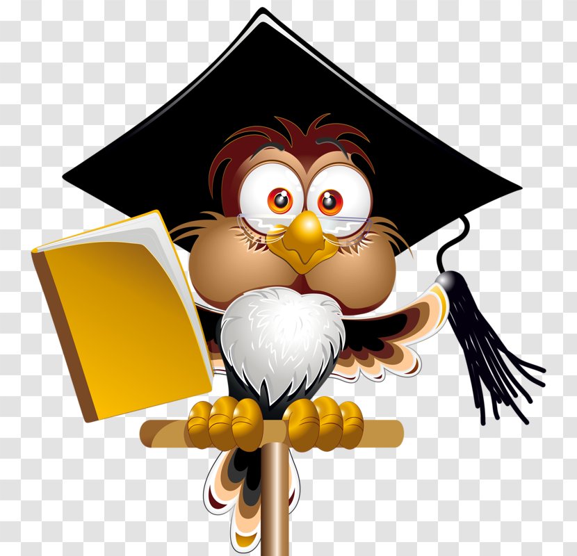 Student Cartoon Teacher Online Writing Lab - Drawing - Dr. Owl Transparent PNG