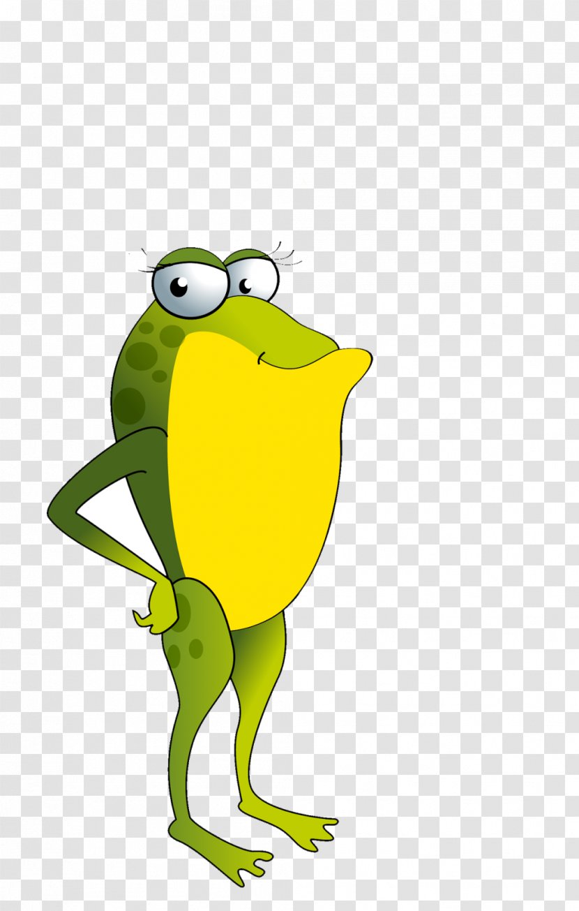 Tree Frog True Clip Art - Ranidae Transparent PNG