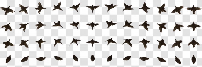 Bird Animation Clip Art Transparent PNG