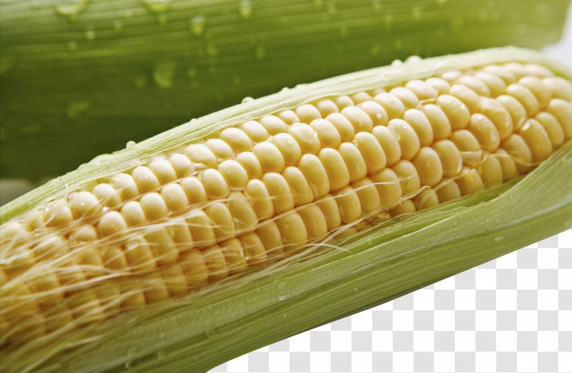 Corn On The Cob Maize Food Crops Google Images Transparent PNG