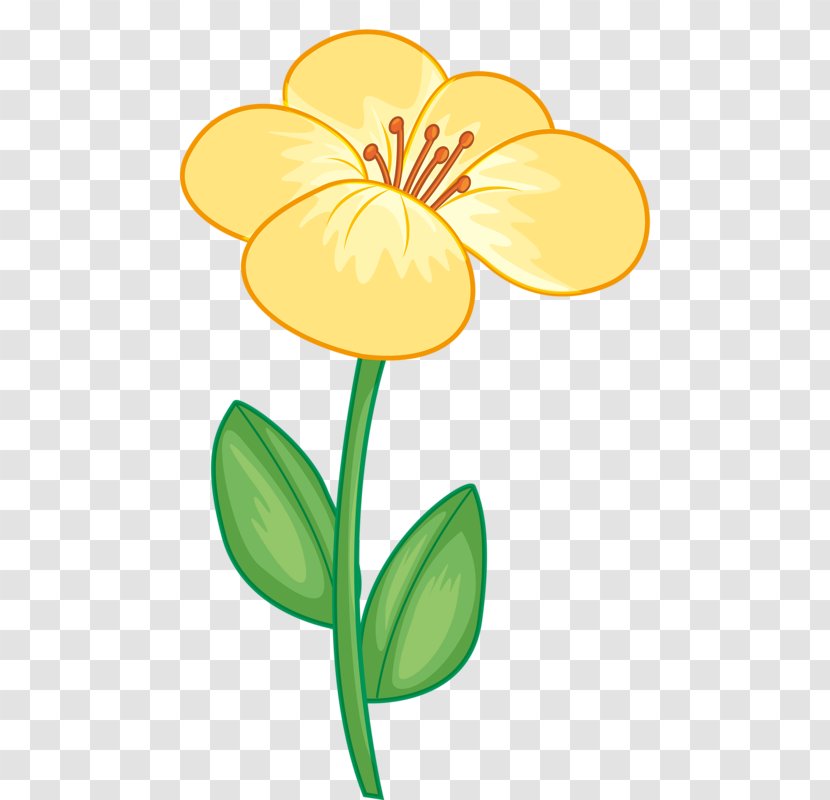 Clip Art Flower Floral Design Cartoon - Botany - Flowers Drawing Transparent PNG