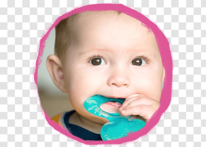 Teething Baby Food Infant Child Gums Transparent PNG