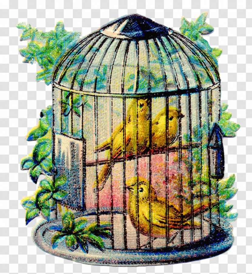 Domestic Canary Birdcage Clip Art - Beak - Bird Cages Transparent PNG