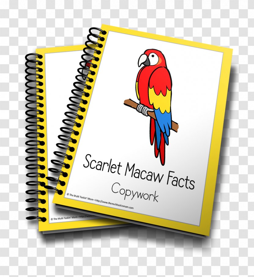 Pre-kindergarten Pre-school The Brain-Friendly Workplace: 5 Big Ideas From Neuroscience To Address Organizational Challenges Homeschooling Learning - Yellow - Scarlet Macaw Transparent PNG