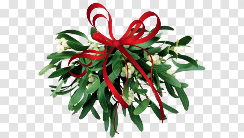 Mistletoe Christmas Clip Art - Decoration - Cliparts Transparent Transparent PNG