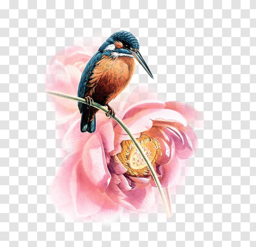 Watercolor Painting Bird Time Transparent PNG
