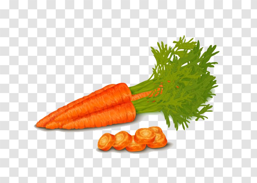 Organic Food Vegetable Carrot Royalty-free - Vegetarian Transparent PNG
