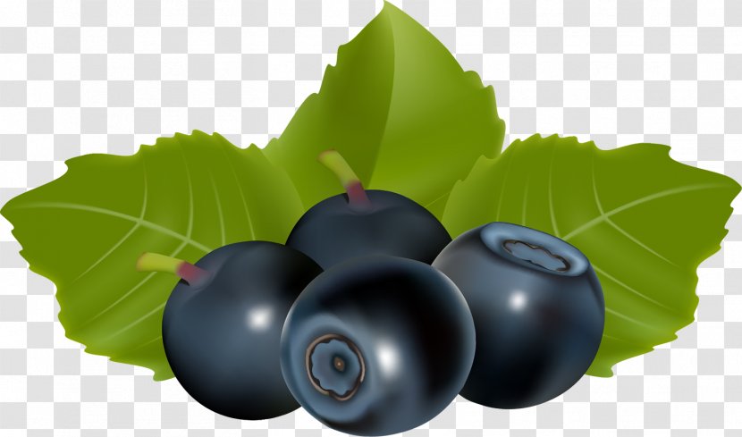 Blueberry Huckleberry Fruit - Binocular Transparent PNG