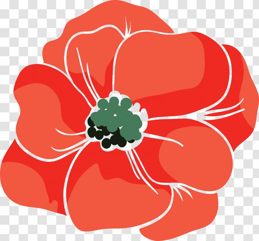 Beach Rose Red Poppy Euclidean Vector - Family - Diagram Transparent PNG
