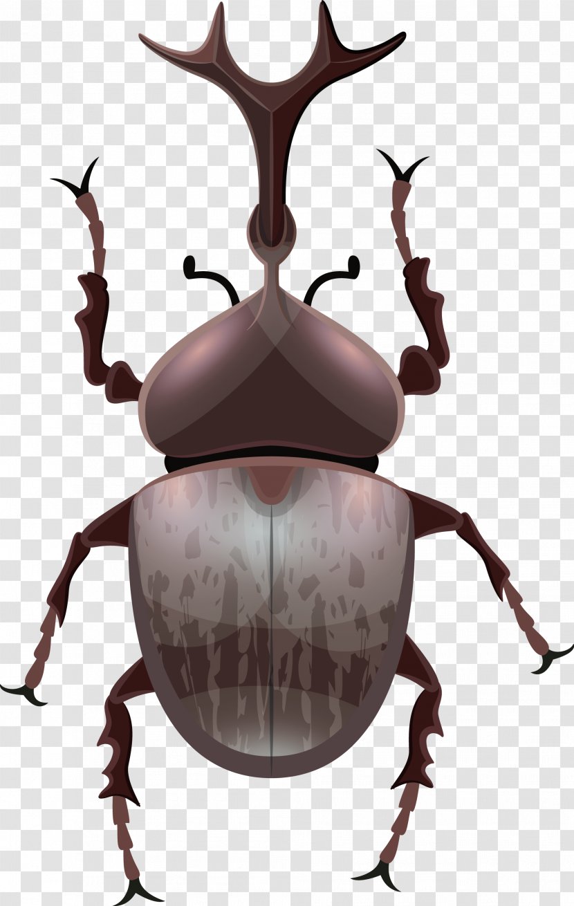 Japanese Rhinoceros Beetle Hornet - Invertebrate - Vector Transparent PNG