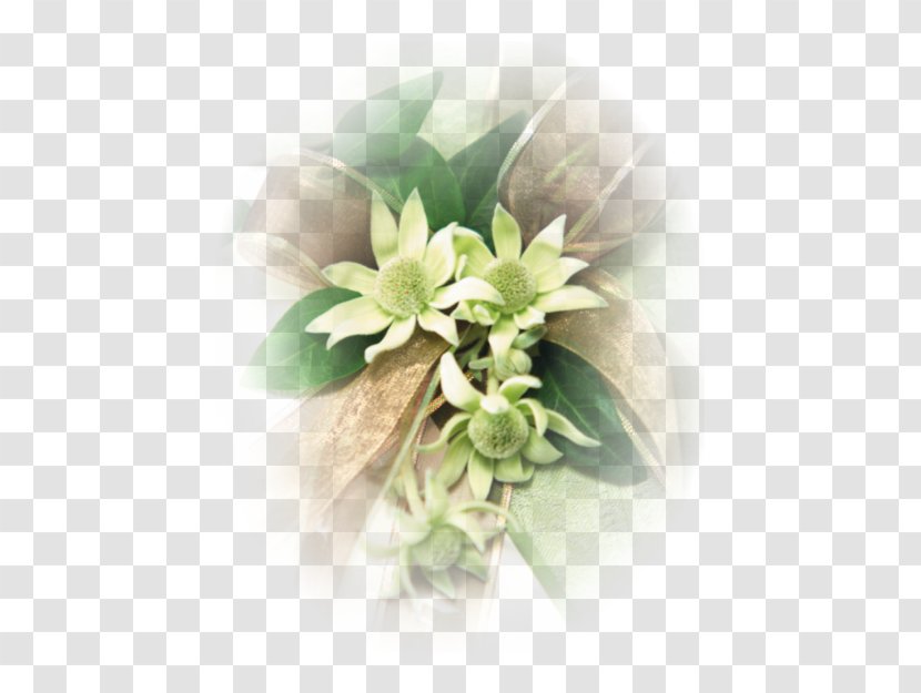Floral Design Cut Flowers Day Spa Flower Bouquet - Plant Transparent PNG