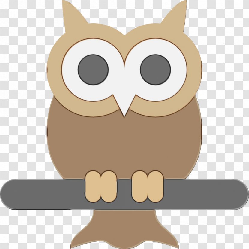 Digital Marketing Background - Video - Brown Bird Of Prey Transparent PNG