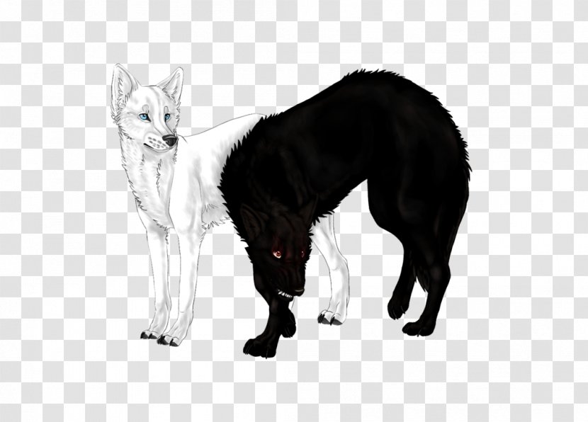 Whiskers Dog Breed Cat Fur - Carnivoran Transparent PNG