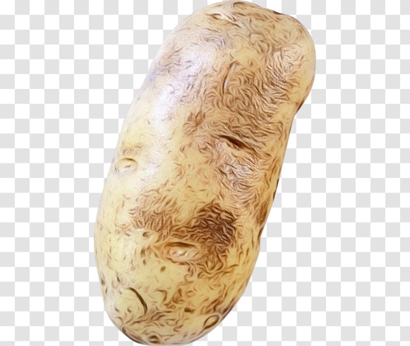 Potato Cartoon - Shoe - Beige Transparent PNG