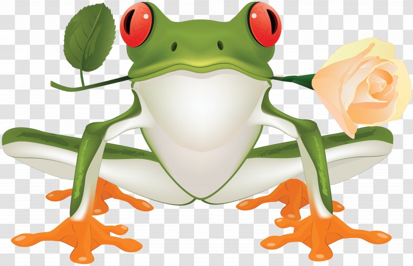Tree Frog True Toad Clip Art Transparent PNG