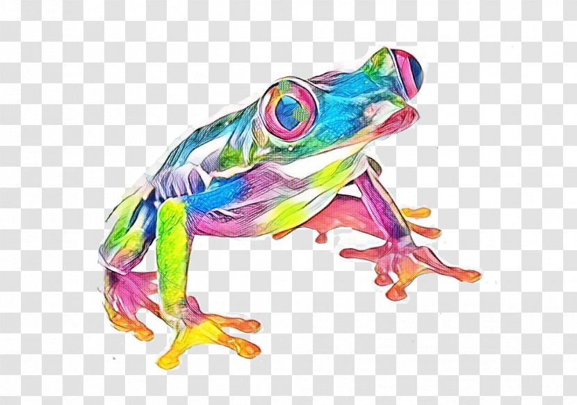 Drawing Tree - Amphibians - Agalychnis Animal Transparent PNG