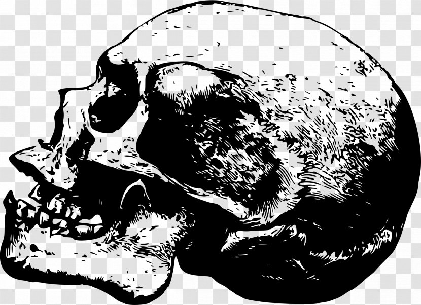 Skull Desktop Wallpaper Clip Art - Watercolor - Bones Transparent PNG